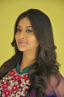 Pooja Jhaveri Photo Pics
